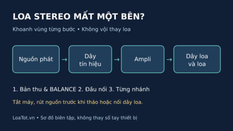 Sơ đồ khoanh vùng loa stereo mất một bên: nguồn phát, dây tín hiệu, ampli và loa.